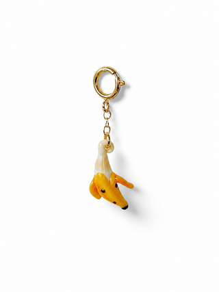 Noli Bikini Charm